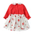 Baby Girl Autumn Princess Dress Long Sleeve Embroidered Dress
